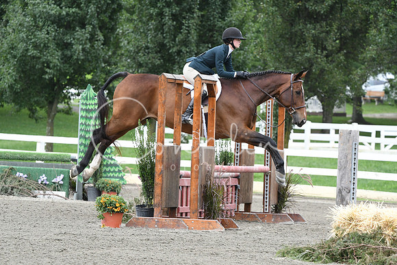 HSM_2736