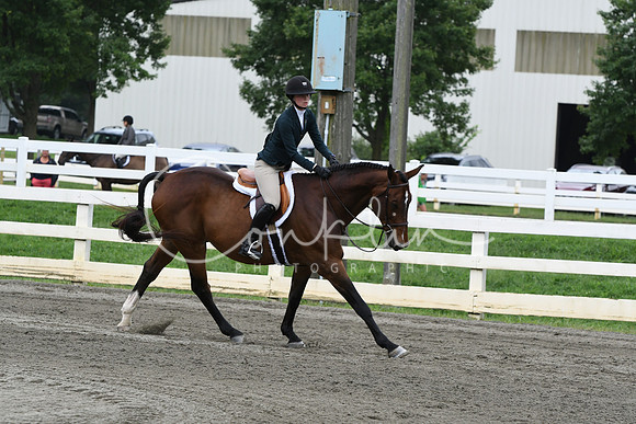 HSM_2738