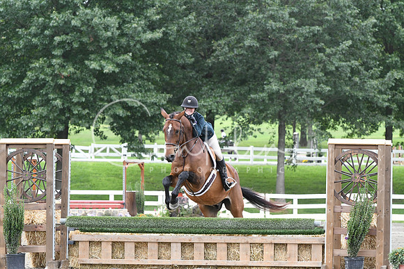 HSM_2741
