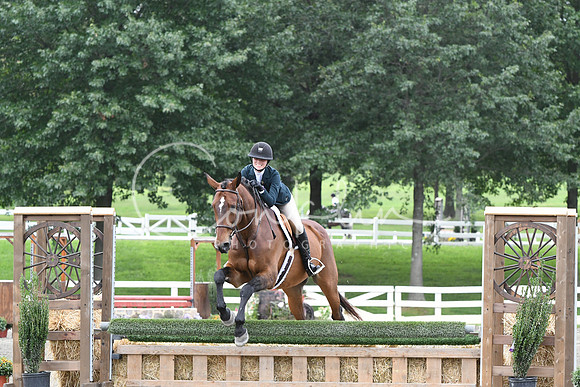 HSM_2742