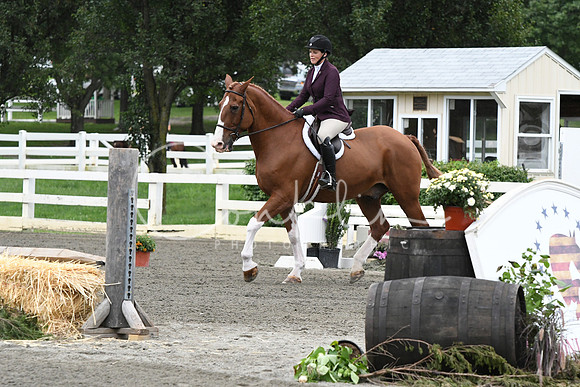 HSM_4991
