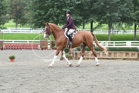 HSM_4993