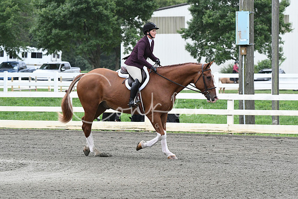 HSM_5010