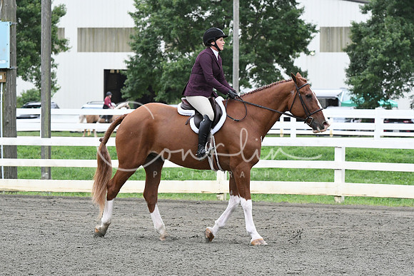 HSM_5011