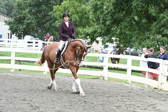 HSM_5073