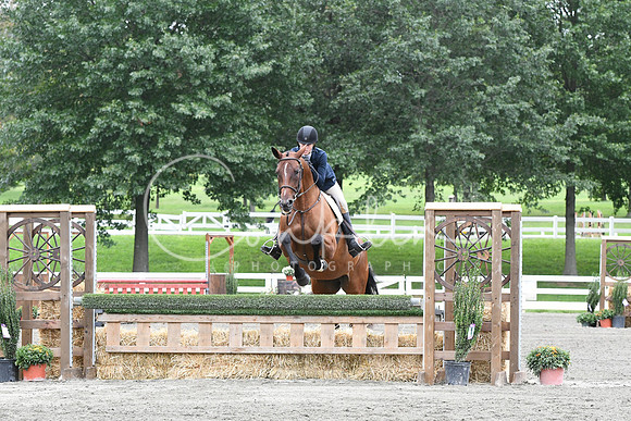 HSM_4544