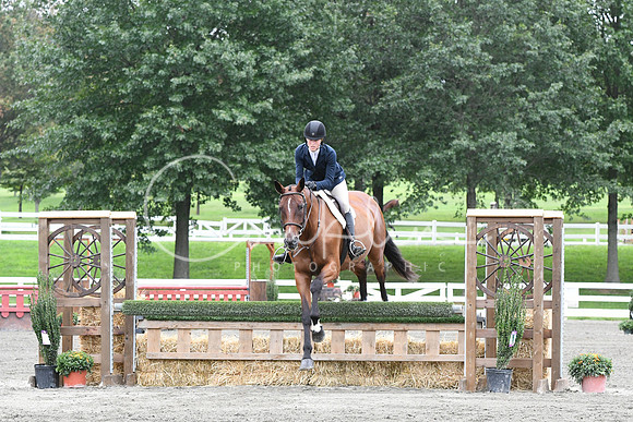 HSM_4546