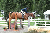HSM_4553
