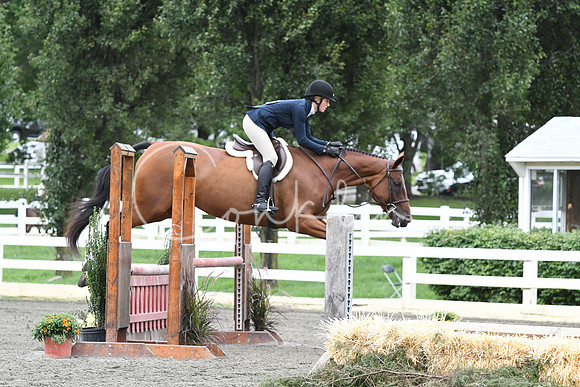 HSM_4553
