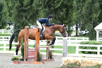 HSM_4552