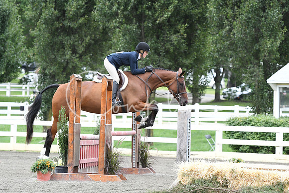 HSM_4552