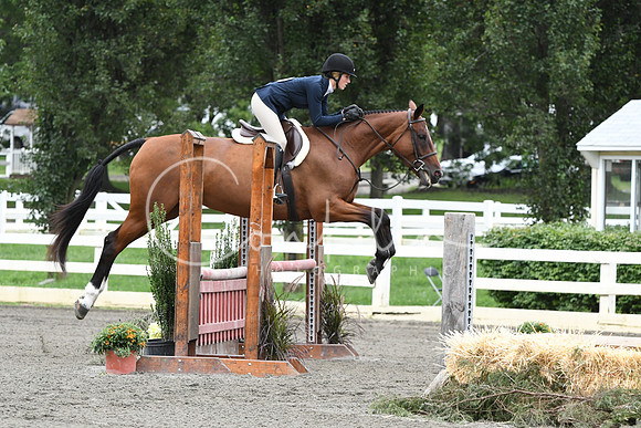 HSM_4595