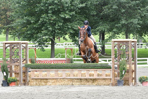 HSM_4636