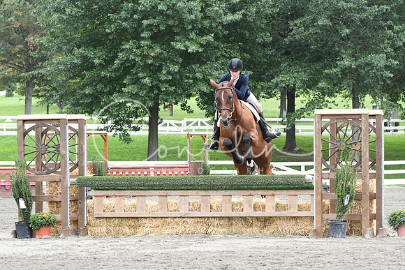 HSM_4637