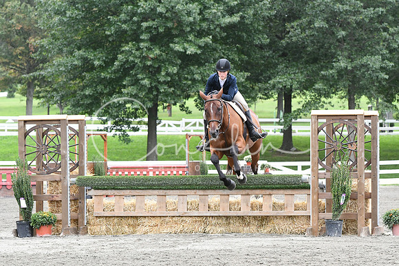 HSM_4638