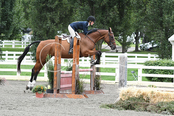 HSM_4644