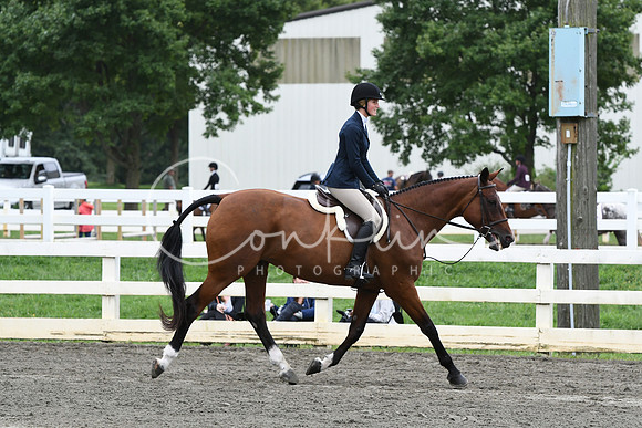 HSM_4646