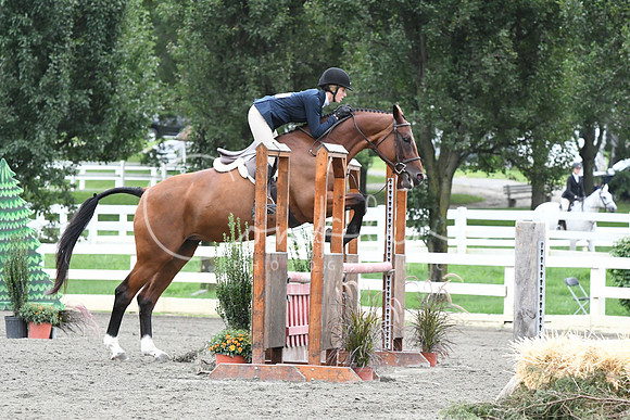 HSM_5273