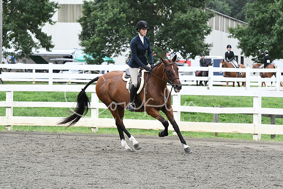 HSM_5275