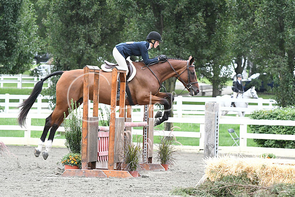 HSM_5274