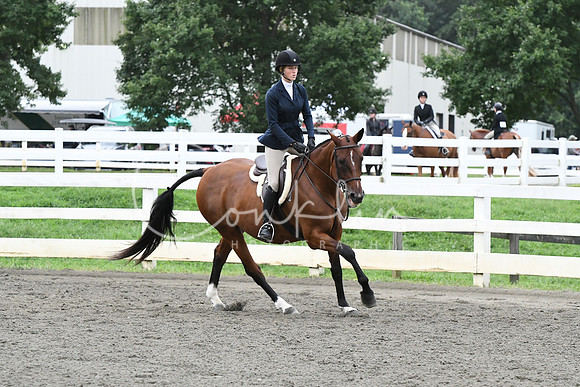 HSM_5276
