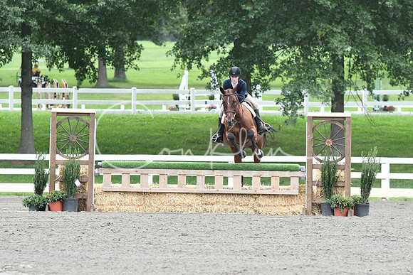 HSM_5278