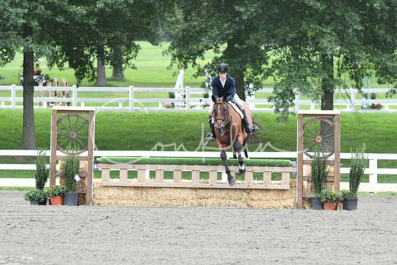 HSM_5279