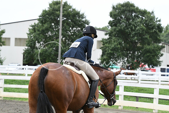 HSM_5290