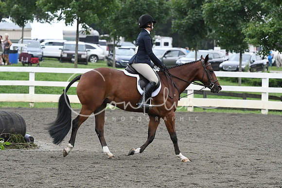 HSM_2317