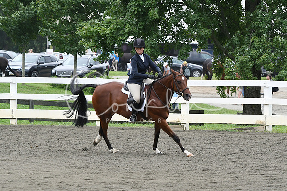 HSM_2379