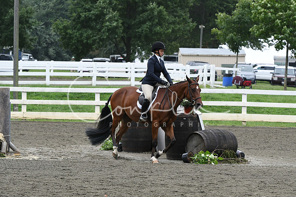 HSM_2387