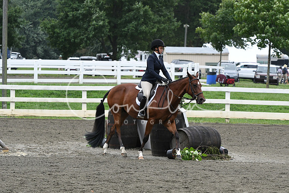 HSM_2388