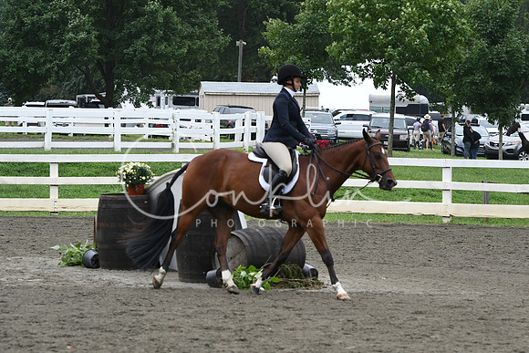 HSM_2389