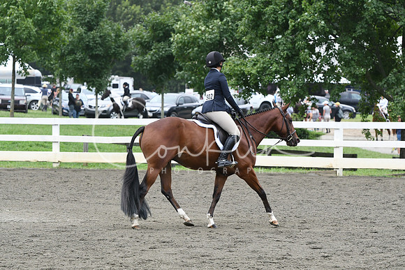 HSM_2391