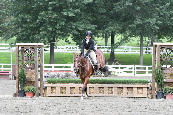 HSM_5393