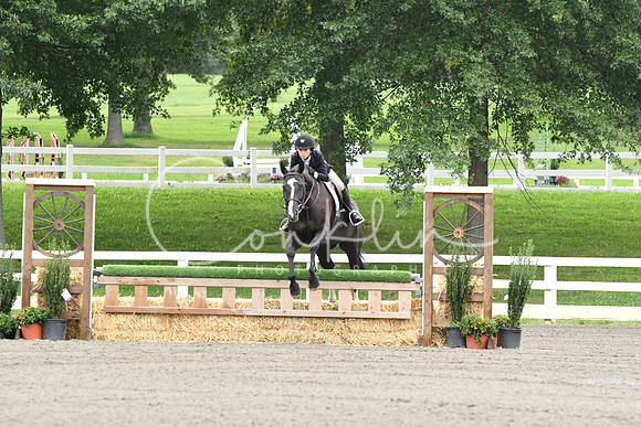 HSM_4033