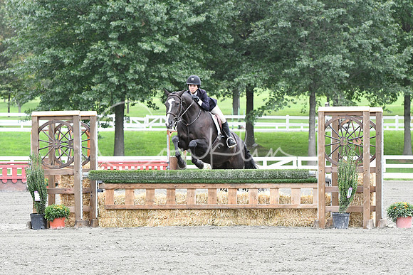 HSM_4166