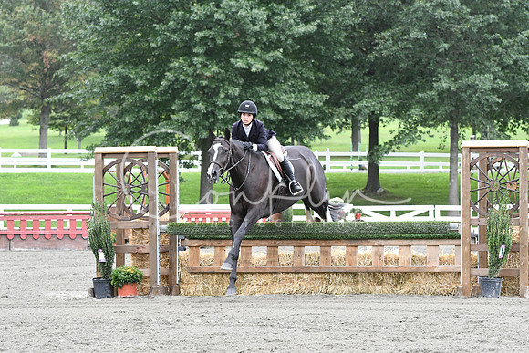 HSM_4168
