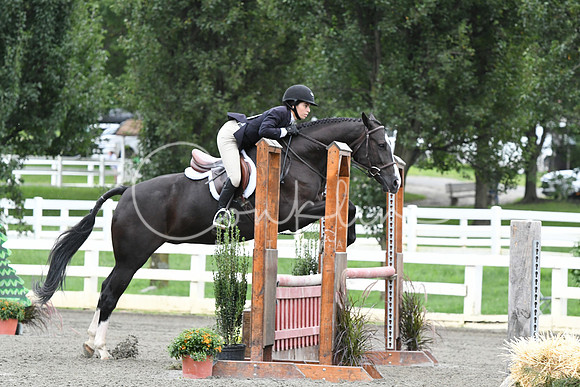HSM_4222