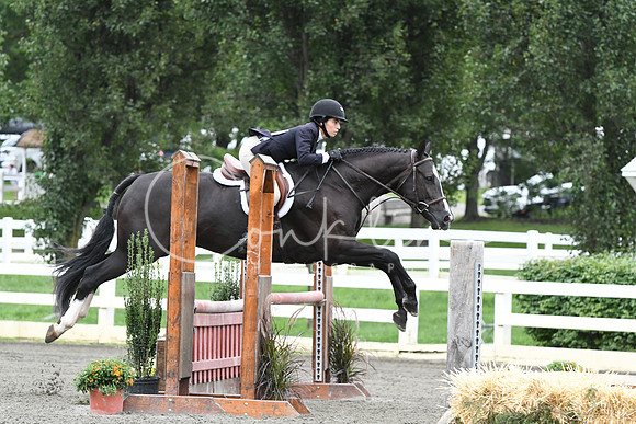 HSM_4223