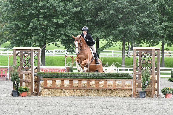 HSM_3856