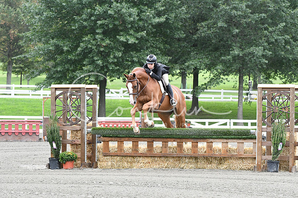 HSM_3858
