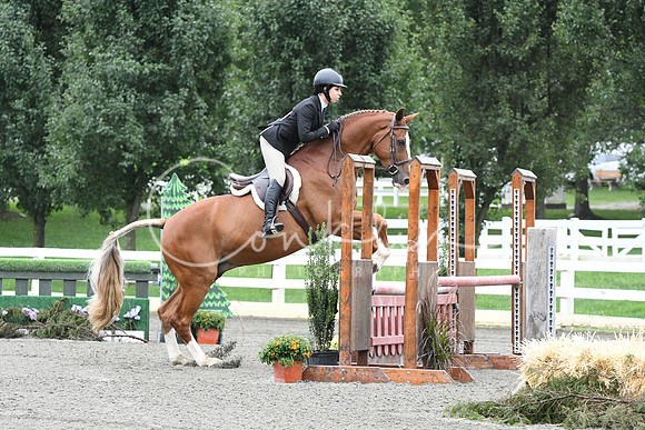 HSM_3864