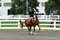 HSM_3872