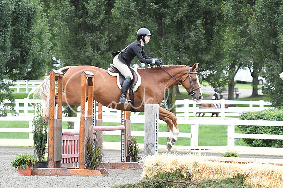 HSM_3910