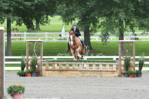 HSM_3916