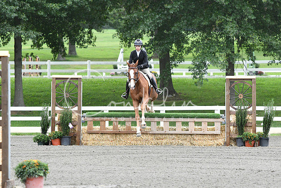 HSM_3917