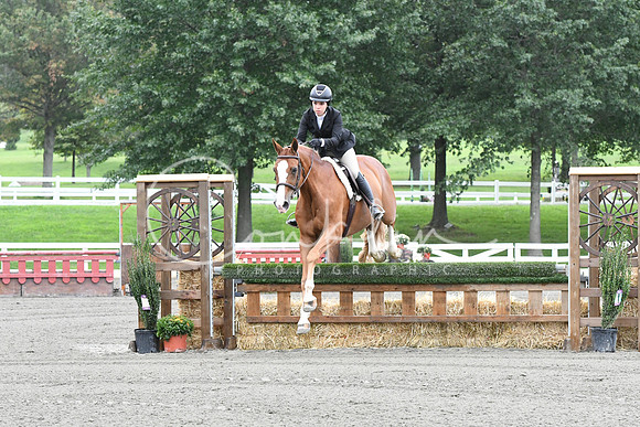 HSM_3920