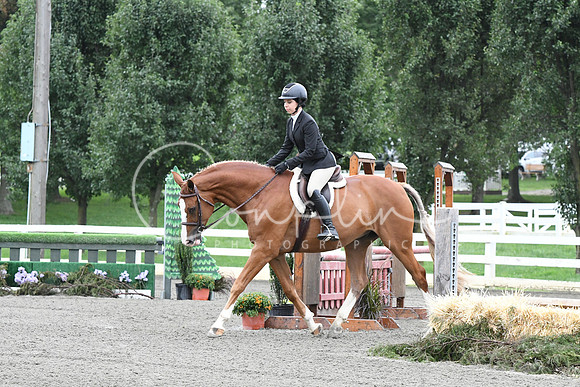 HSM_3921
