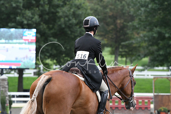 HSM_5337